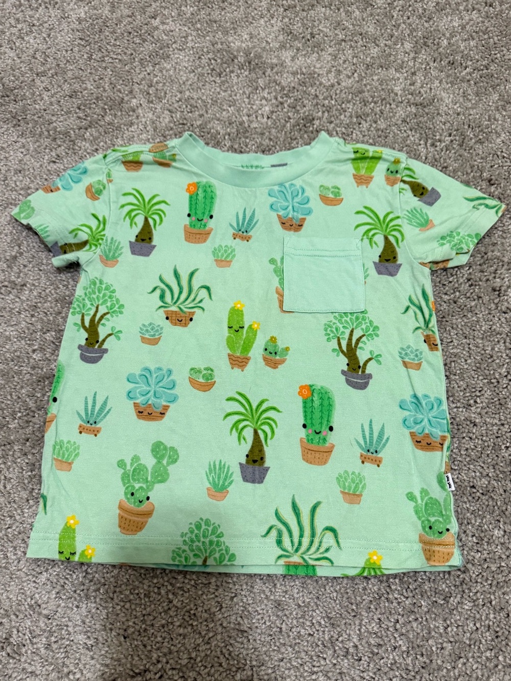 Little Sleepies Play Tee in Succulent Love